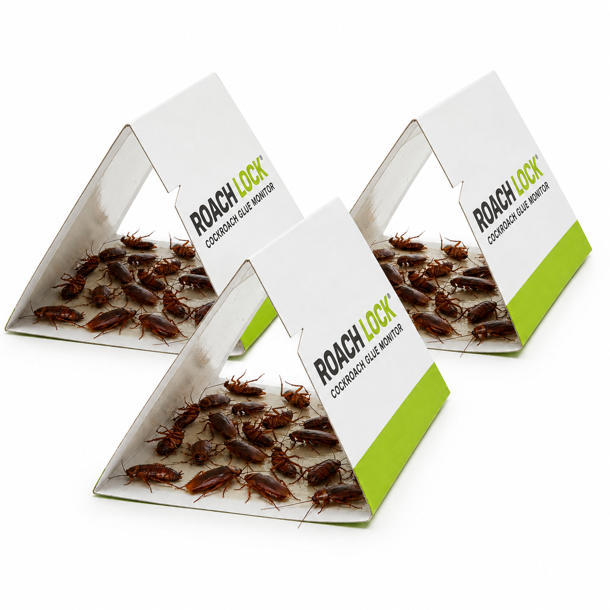 RoachLock glue monitor traps 3-pack