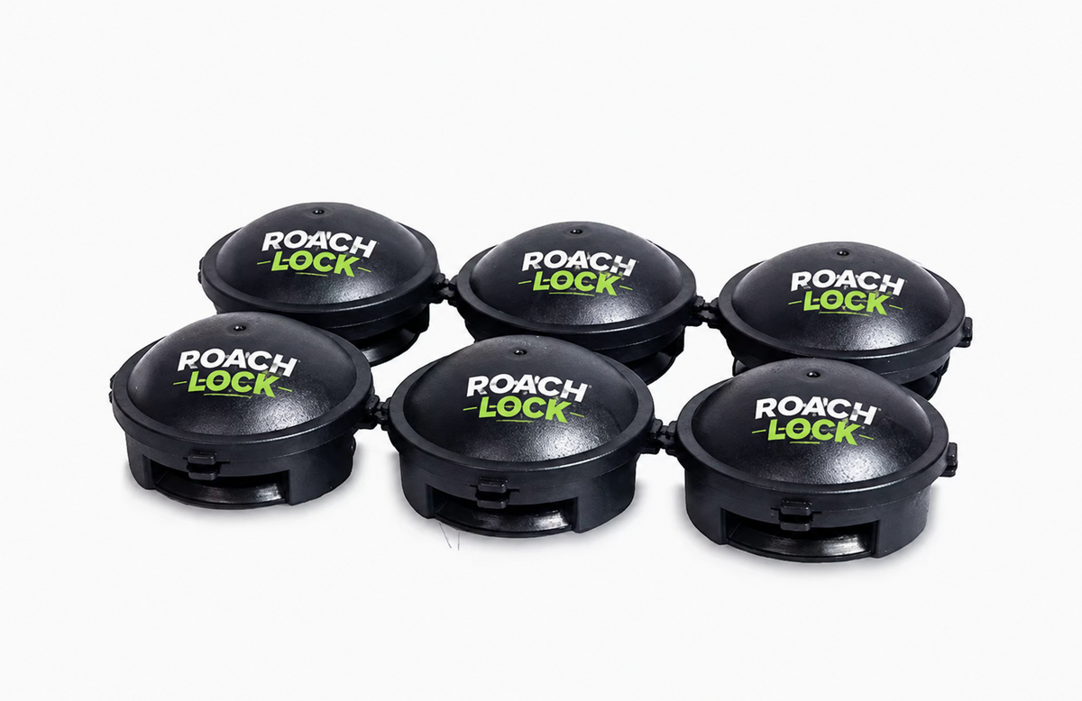 RoachLock bait stations 6-pack