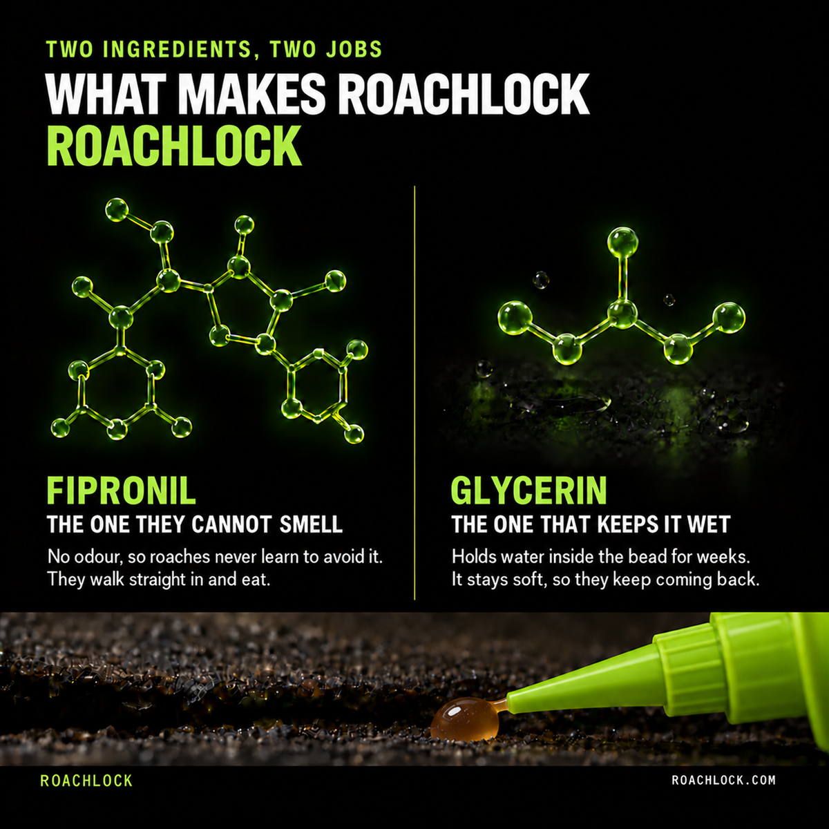 Two ingredients, two jobs. What makes RoachLock RoachLock. Fipronil, the one they cannot smell: no odour, so roaches never learn to avoid it, they walk straight in and eat. Glycerin, the one that keeps it wet: holds water inside the bead for weeks, it stays soft so they keep coming back. Below, the syringe nozzle placing an amber bead of gel on a dark surface.